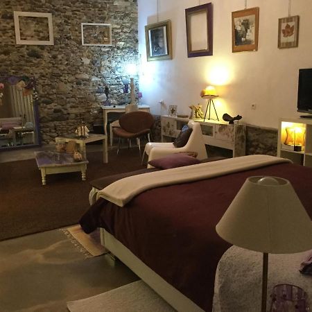 Loft Atypique Bed & Breakfast Villeneuve-de-Riviere Luaran gambar