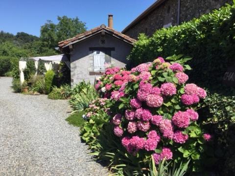 Loft Atypique Bed & Breakfast Villeneuve-de-Riviere Luaran gambar